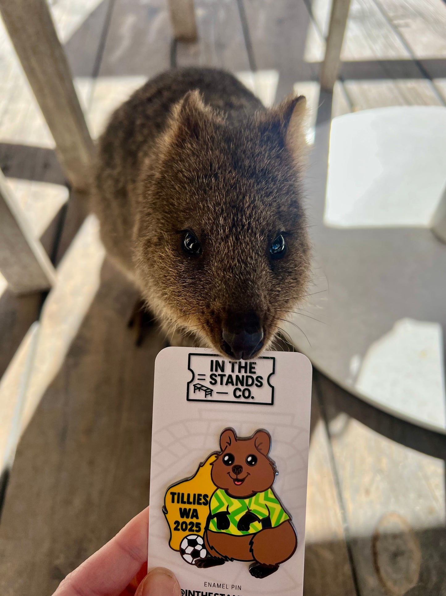 matildas-quokka-pin-perth-game-2025